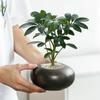 Vaso Fioriera Sasso Geometria Vaso Fioriera Vaso per Piantare Vaso Fioriera Decorazioni Balcone Accessori Piante Succulenta