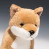 Shiba Inu Standing