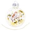 Artistic Nature Bird Clear Christmas Ball Ornament Holiday Decorations For Festives Tree Decoration Memorables Gift