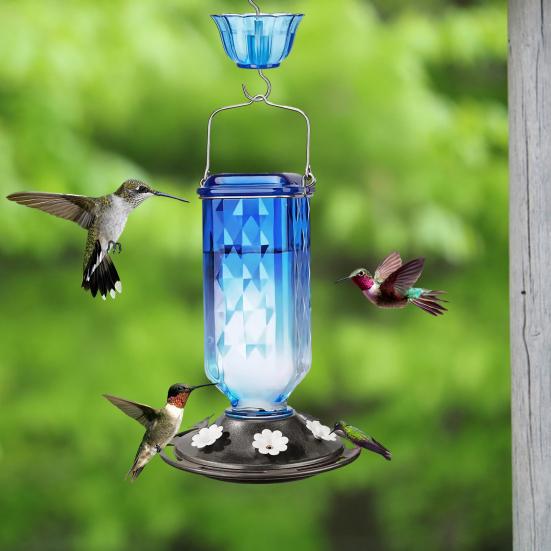 Mangiatoia per Colibrì Mangiatoia per Uccelli Sospesa con Fossato Formiche Mangiatoia per Colibrì da Esterno con 6 Fori di Alimentazione per Decorazione Giardino Cortile