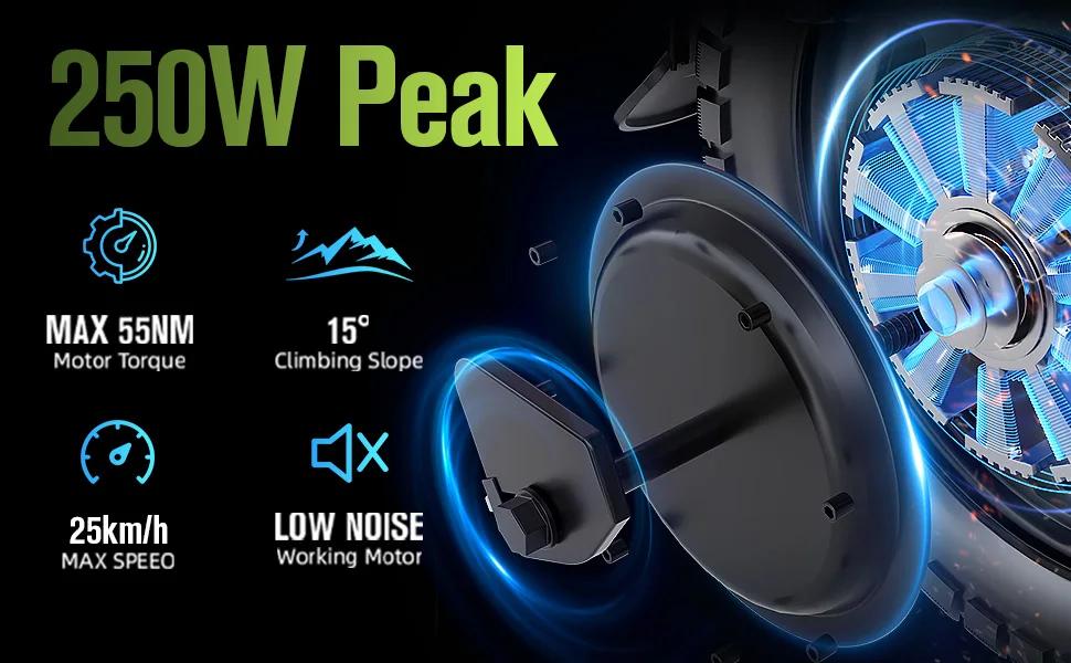 TOOFLY GE5 Rower Elektryczny Silnik 250W Bateria Litowa 48V15AH Rower Elektryczny dla Dorosłych Opona 14-calowa Rower Elektryczny Miejski Składany Mini