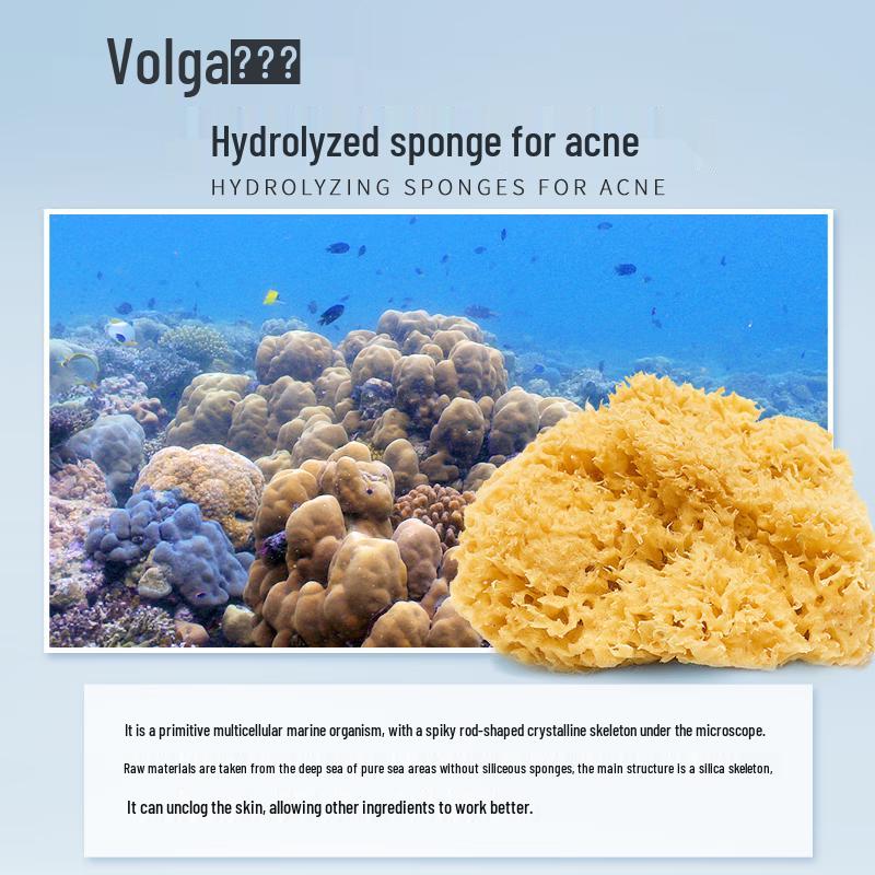 Fu Er Jia Hydrolyzed Sponge Acne Treatment Gel