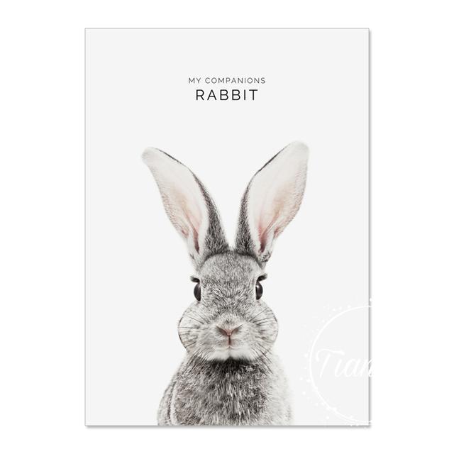 Animal Decoration Sheets Picture Wall Art Poster Children's Canvases Room Paintings For Nursery Decorative Prints Wall Posters No Frame