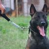 Dog Leash Spring Short Dogs Leash PU Leather Leashes for Large Dogs Walking Traction Nylon Rope Durable Dog Leashes Pet Chain