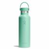 Hydro Flask Standard Flex Termosflaska 622 Grön S21Csx344