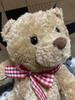 [USED] Teddy Bear Cute Stuffed Toy Interior Bear