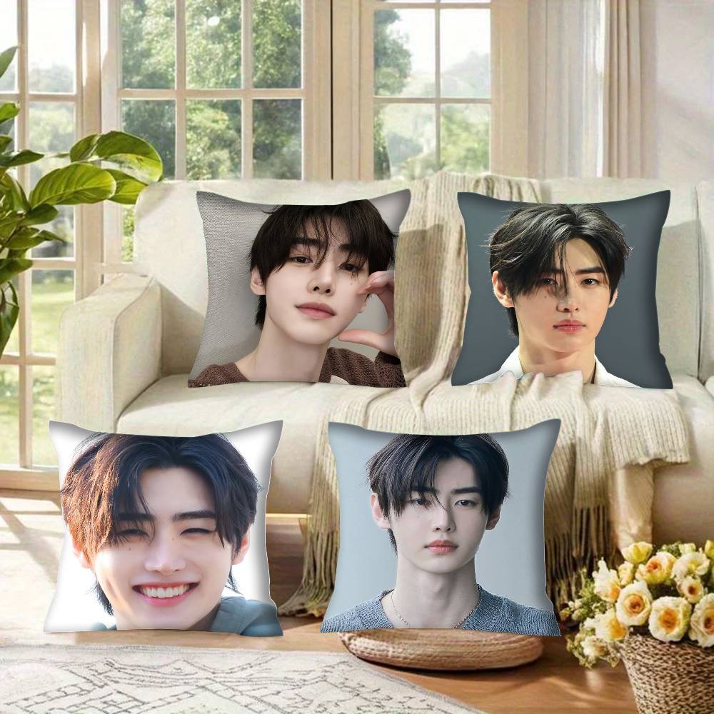 Federe fodere cuscini divani soggiorno decorazioni per la casa regali Park S-ung-hoon Cantante Pop