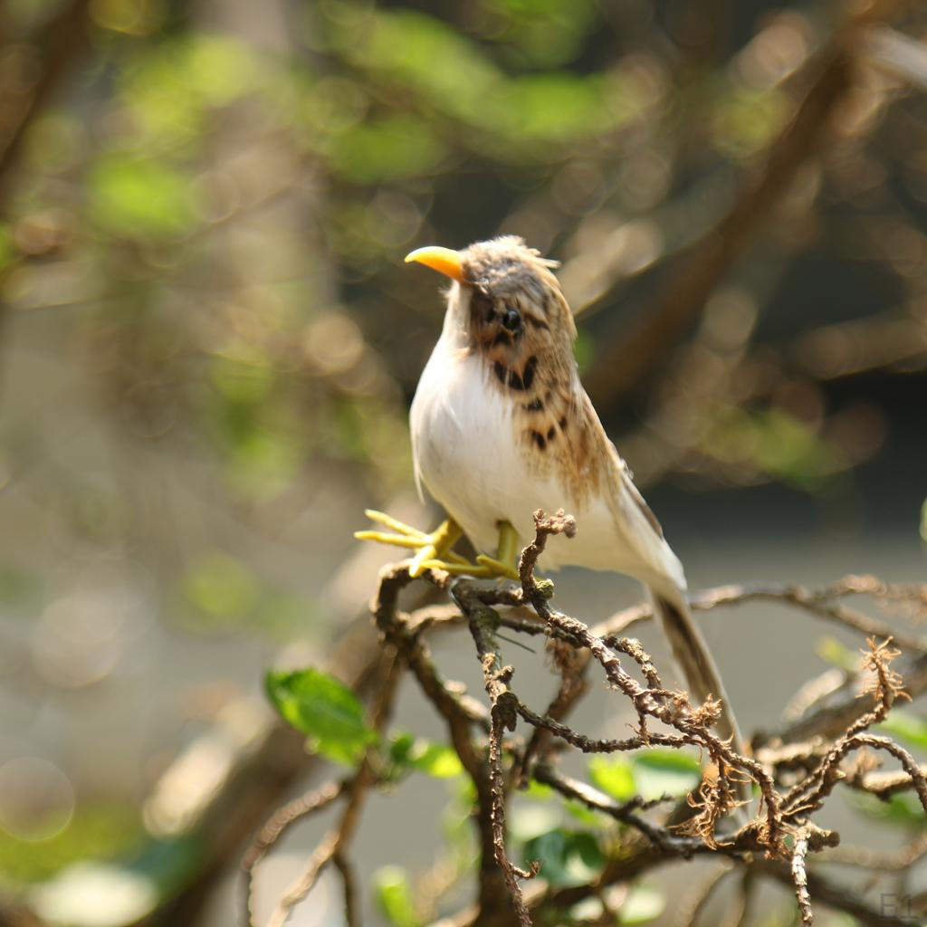 Feathered Sparrow Home Garden Ornament