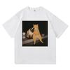 Divertente Gatto Che Fuma Sigaretta Meme Maglietta Moda Abbigliamento Donna Vintage Harajuku Vestiti T-shirt Harajuku Manica Corta Casual