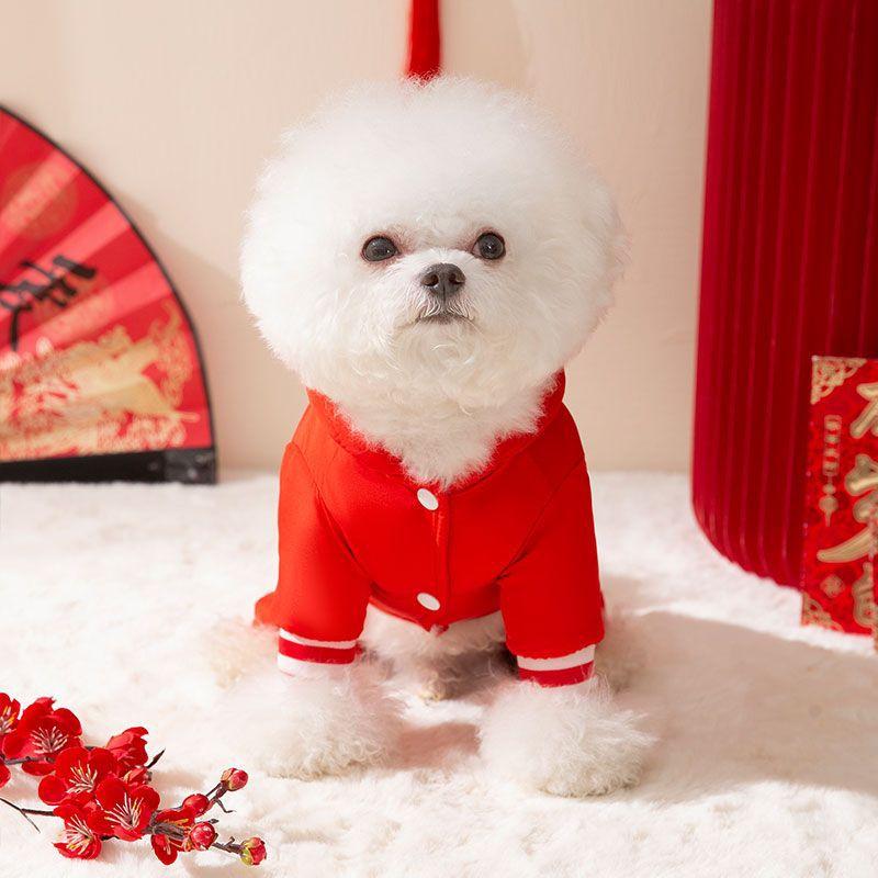 New Year's dog down teddy bear small dog four-legged blessing character can lead New Year's greetings and festive New Year's pet cotton-padded clothes