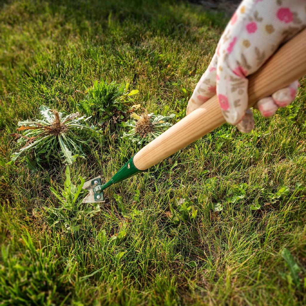 KADAX Dandelion Root Weed Cutter With Handle