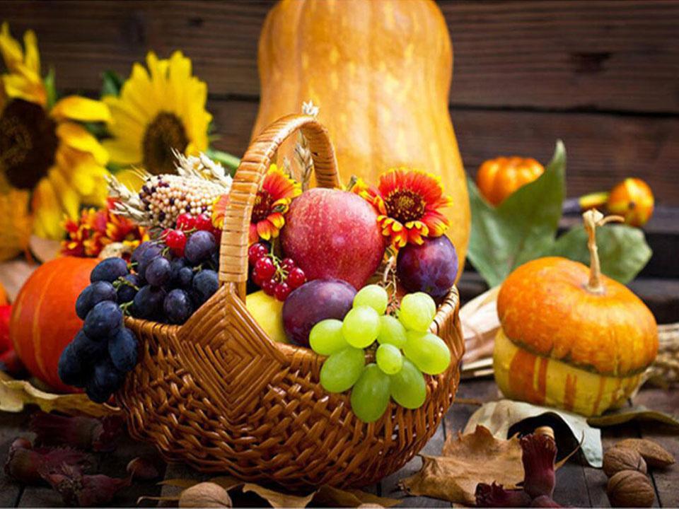 5D Diamond Mosaic Fruit Cross Stitch Kits DIY Diamond Painting Landscape Picture Of Rhinestones Mosaic Decor For Home