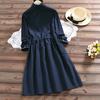 Plus Size Spring Autumn Women Dress Stand Collar Polka Dot Green Navy Blue Dress Elegant Long-Sleeved String Mini Dress