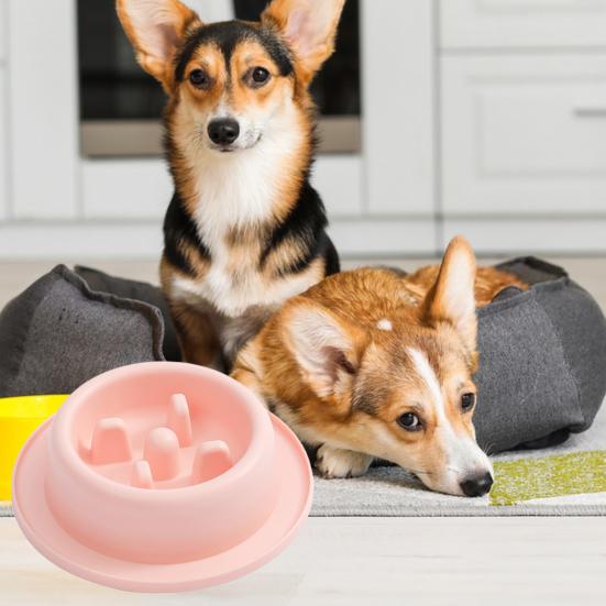 Pet Feeding Bowl Non-Slip Easy To Clean Safe Anti-Choking Cat Dog Slow Food Feeder Bowl Pet Supplies