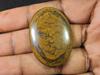 76Cts. 100% Natural Shiva Tiger Eye Oval Designer Loose Gemstone 30X42X07 MM SK-1060