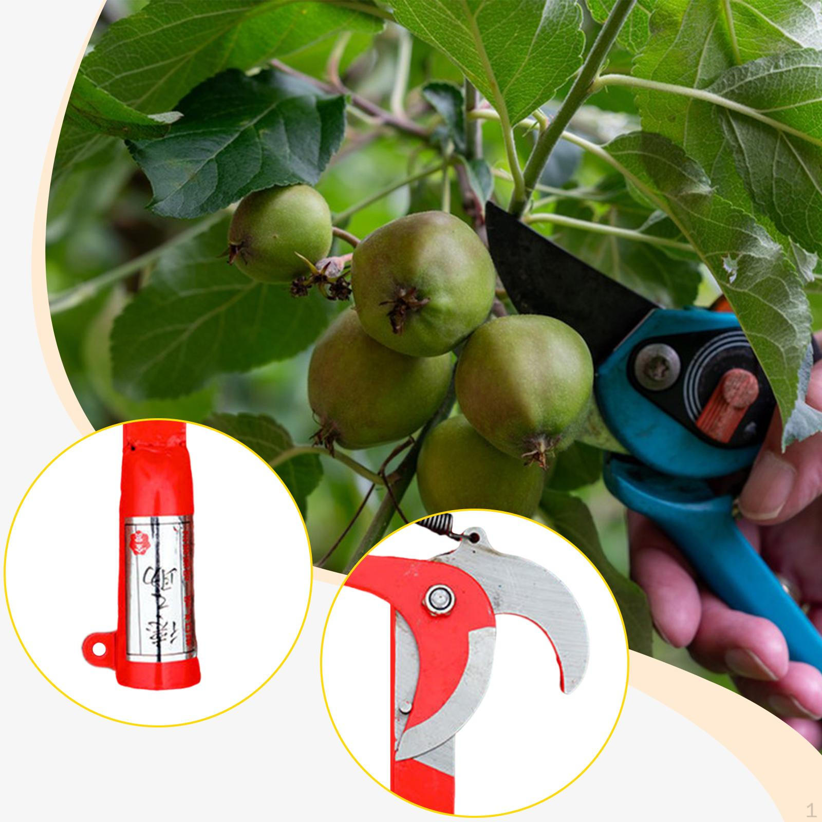 

Effortless Pulley Tree Pruner Shear Head with Steel Spring Multifunctional Energy Saving Fits Size S
