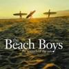 CD BEACH BOYS - Warmth of the Sun The Very Best of  TOCP70309 Japan Rock Used