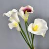 Artificial Common Calla Lily Realistic Fake Flower Stem Home Office Wedding Party Indoor Outdoor Faux Bloom Centerpiece Decoration