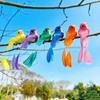 Real Feather Bird Couple Clips - Decorative Faux Birds for Wedding, Home, and Garden