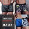[Hercules Underwear] Comfortable and Stylish Boxer Briefs 3-Pack HB2DR306SET [Shipped from Korea] 100% Authentic