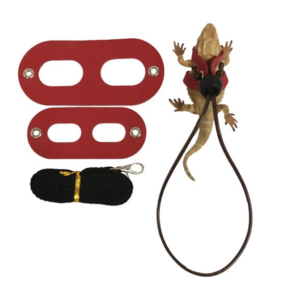 Adjustable Reptile Leash Bearded Dragon Lizard Harness Wing Traction Rope Set