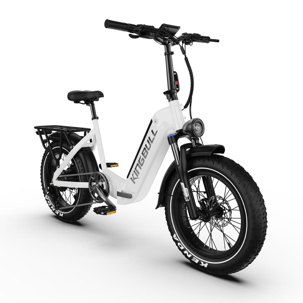 Maxturn Verve Elektrofahrrad für Erwachsene 250W Motor 48V 13Ah Akku 20 Zoll Geländereifen Elektrofahrrad