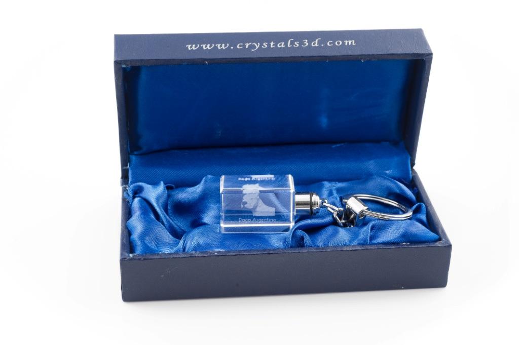 Dogo Argentino - Crystal Key Ring with Dog Photo, Illuminated Key Ring, Unique Gift by Art-Dog Brand