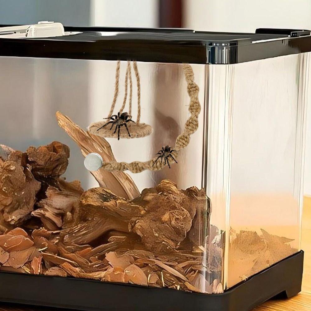 Handmade Jumping Spider Enclosure Hangable Hermit Crab Climbing Enclosure Pet Supplies