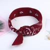 Paisley Cycling Bandana & Hip Hop Headband for Outdoor Sports & Street Dance