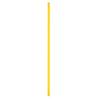 Professional Agility Training Poles Set