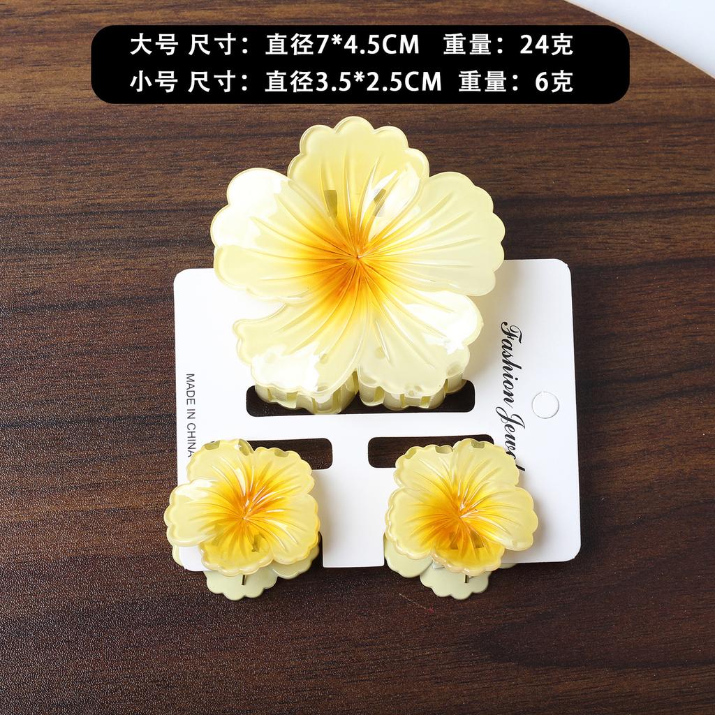 2025 New Egg Flower Grab Clip Retro Color Flower Hair Claw Clip Lady Side Grab Half Grab Back Head Shark