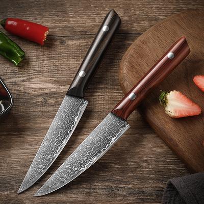Paring Knife 5.5 Inch Damascus Steel Core Ultra-Sharp Damascus Utility Knife Steak Knife Full Tang Pro Peeling Knife