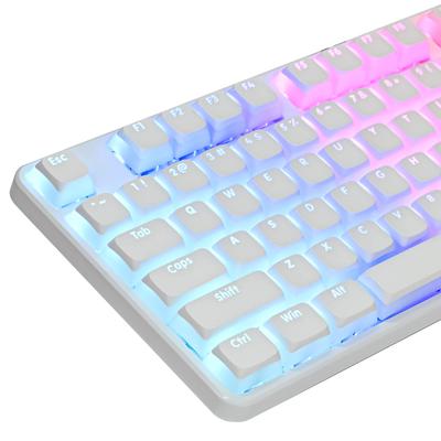 Ussixchare PBT Printed Dual Lens Translucent XDA ISO and ANSI Suitable for Mechanical Keyboards 117-Key Keyset, Contour, Layout, 61/68/84/87/104-Key