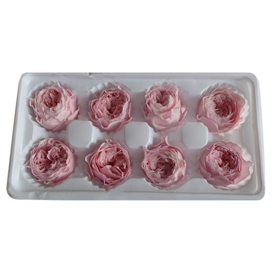 

8 шт./кор. консервированные цветы мягкая текстура сделай сам цветочная композиция многоцветные искусственные розы 8