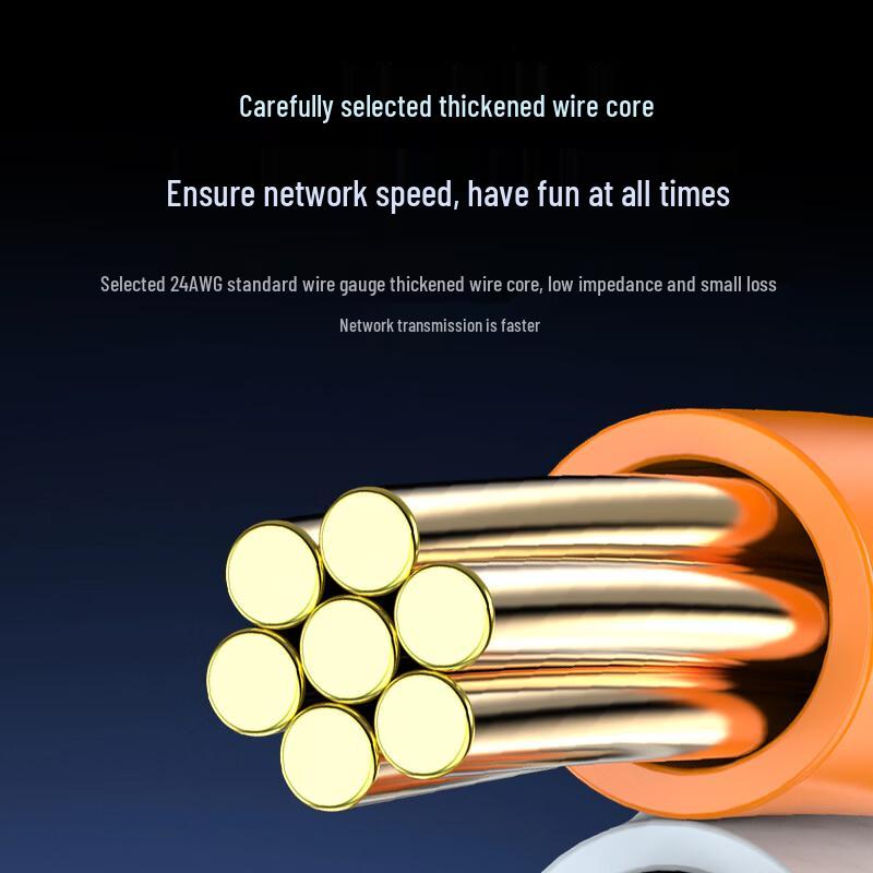Shengwei Cat6A 10 Gigabit Ethernet Cable