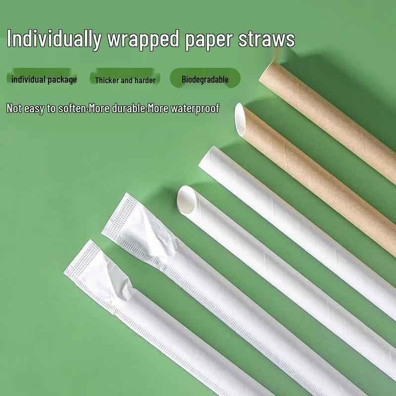 Zhenshijia Individually Wrapped Kraft Paper Straws