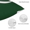 Flag Of Pakistan Pillowcase Double-sided Printing Fabric Cushion Cover Decorative Throw Pillow Case Cover Seat Zipper 40*40cm