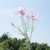 Plastic Artificial Cosmos Flower Branch Realistic Fake Flower  Home Hotel Table Decor