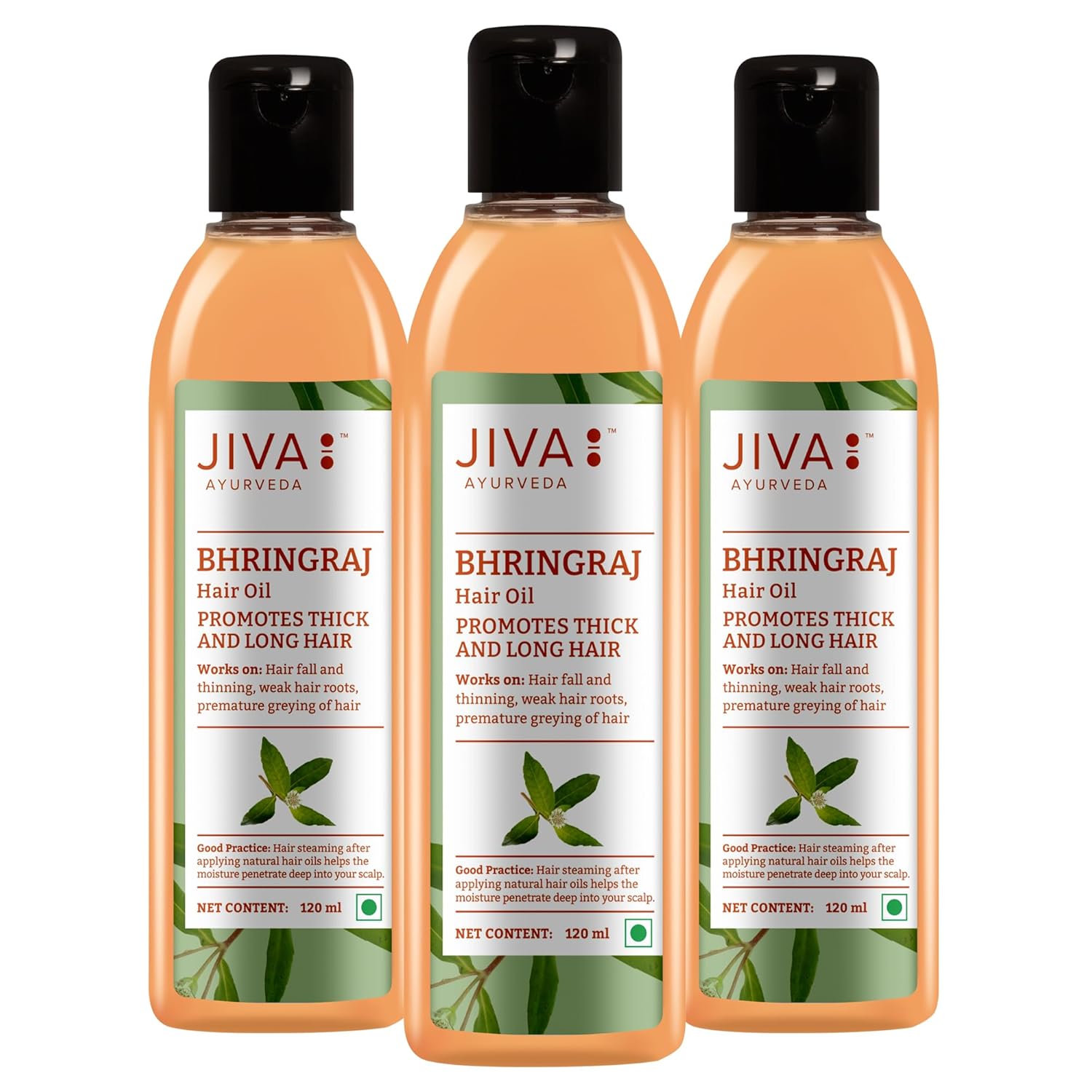 

Jiva Bhringaraj Hair Oil 120 ml Pack Of 3 For Nourished Hair And Natural Scalp Care With Ayurvedic Herbal Blend