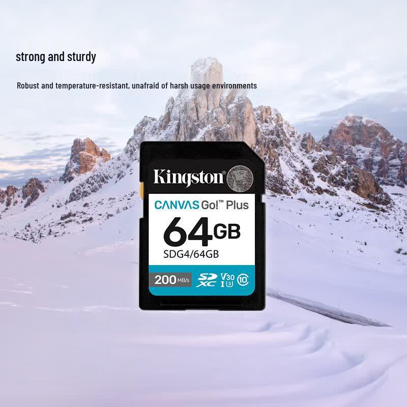 Kingston 64GB SDG4 U3 V30 SD Memory Card