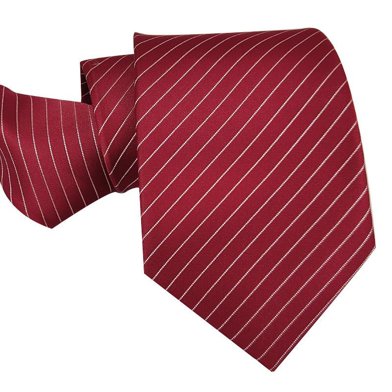Mens Business Polyester Tie With Arrow Design And Zipper Closure For Office