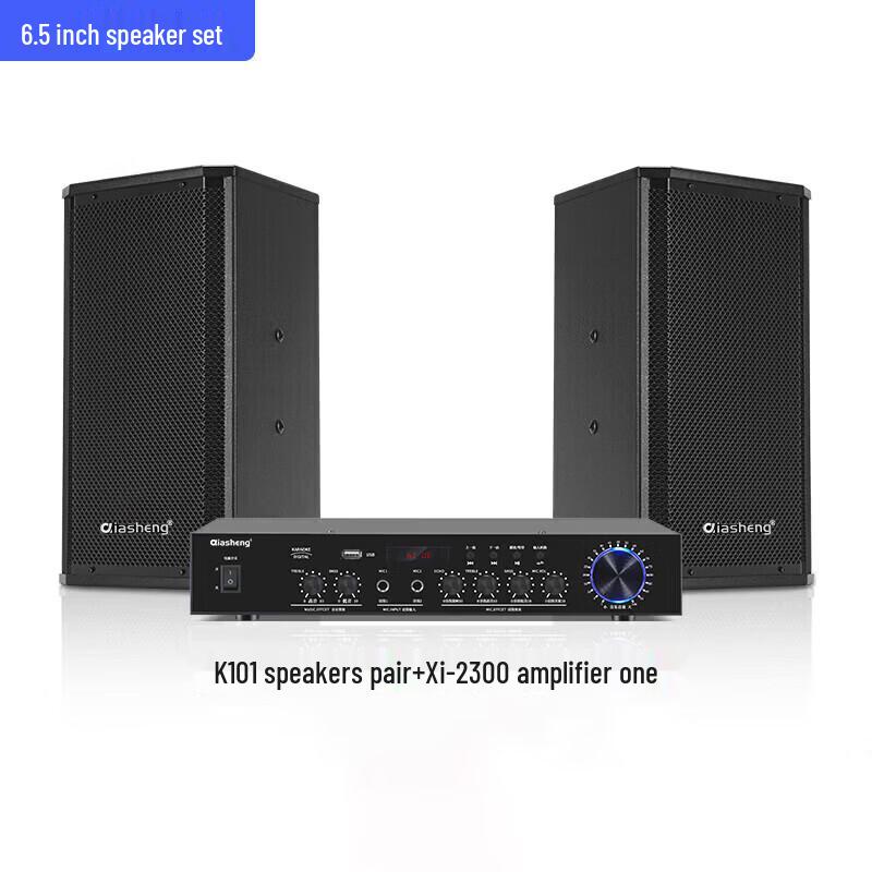 QIASHENG 6,5-Zoll-Lautsprechersystem mit Verstärker CN-Stecker (Adapter enthalten) (CN-Version)