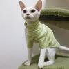 Weiche Sphynx Katze Kleidung Warmer Katze Gestreifter Jumpsuit Nacktkatze Kleidung Katzen Hoodie für Katzen Kätzchen