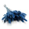 Accesorii de petrecere – Accesorii pentru ceremonii și petreceri