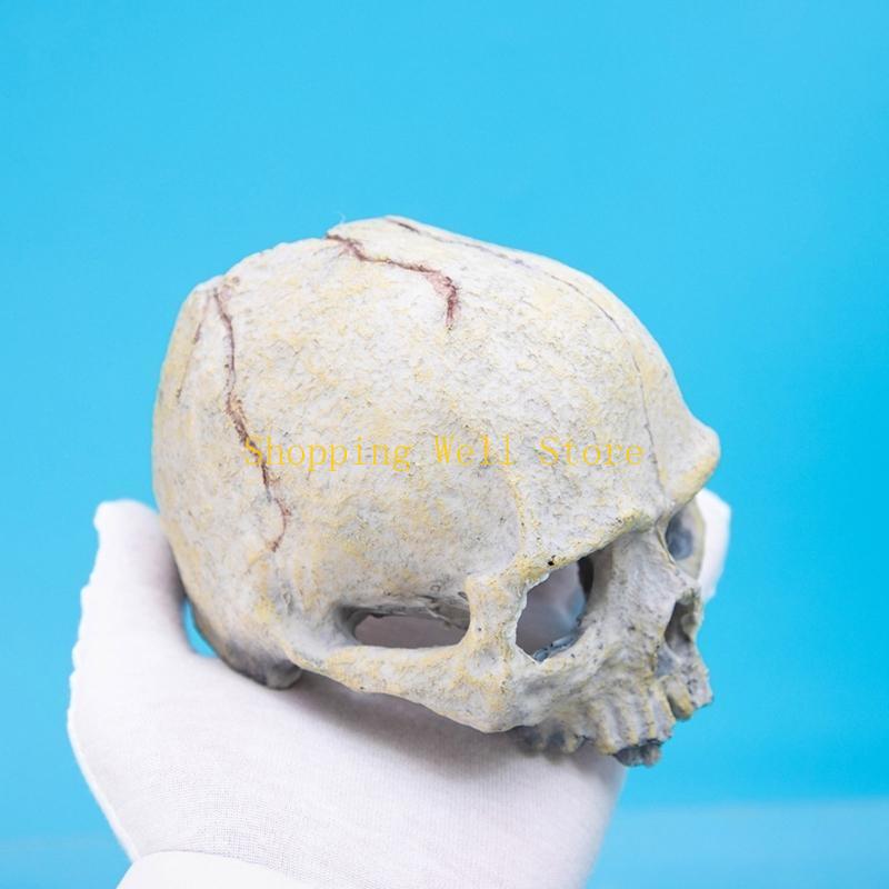 KX4B Resin Skull Figurine Reptiles Hideouts Caves Fishtanks Terrariums Accessories for Geckos Bearded Dragon Snake
