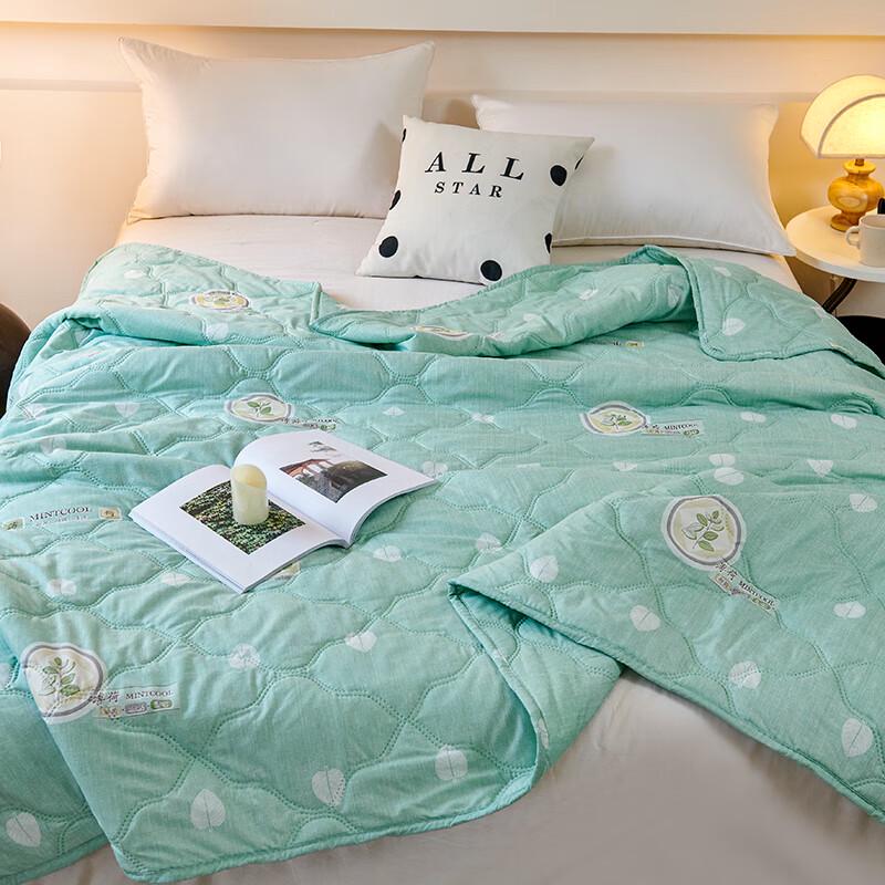 Zmn Mint Cooling Summer Quilt
