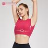 Foreign Trade Spring and Summer Sports Vest Women Fixed Cup Cool Feeling Breathable Fitness Vest Short Sexy Backless Yoga Vest