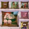 BBrickleberry Anime Cartoon Pillow Case Pillow Case Plush Fabric Soft Double Sided Print Home Sofa High Quality Cushion
