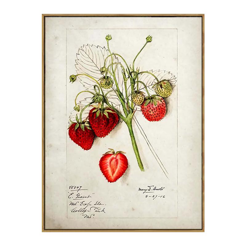 

Плакат с авокадо, клубникой и лимоном, винтажные декоративные картины с фруктами, холст, настенные художественные фотографии для кухни, декора для столовой, скандинавский стиль 40x50cm No Framed