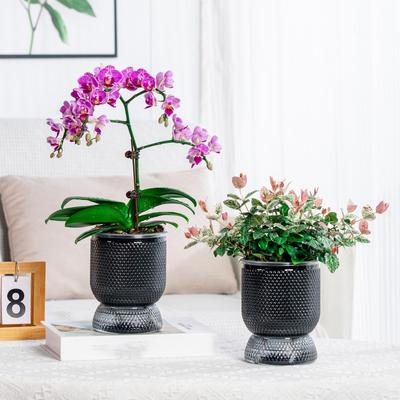 Boliginnredning – Dekorative blomsterpotter